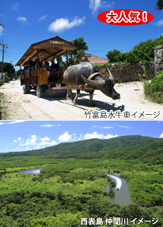 由布島へ渡る水牛車